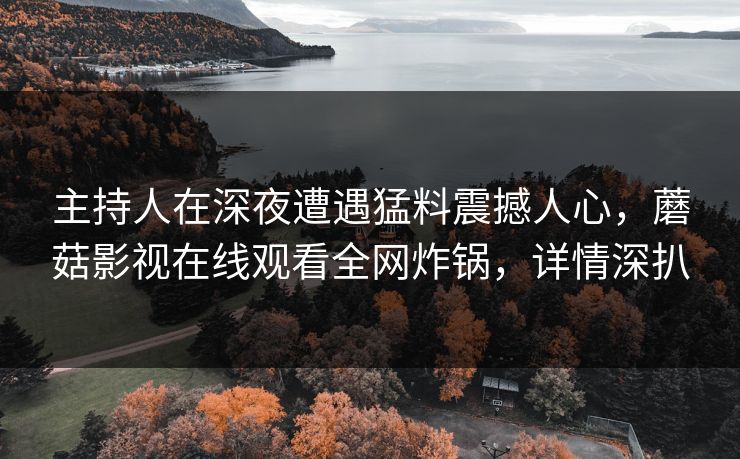 主持人在深夜遭遇猛料震撼人心，蘑菇影视在线观看全网炸锅，详情深扒