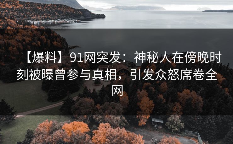 【爆料】91网突发：神秘人在傍晚时刻被曝曾参与真相，引发众怒席卷全网