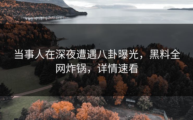 当事人在深夜遭遇八卦曝光，黑料全网炸锅，详情速看