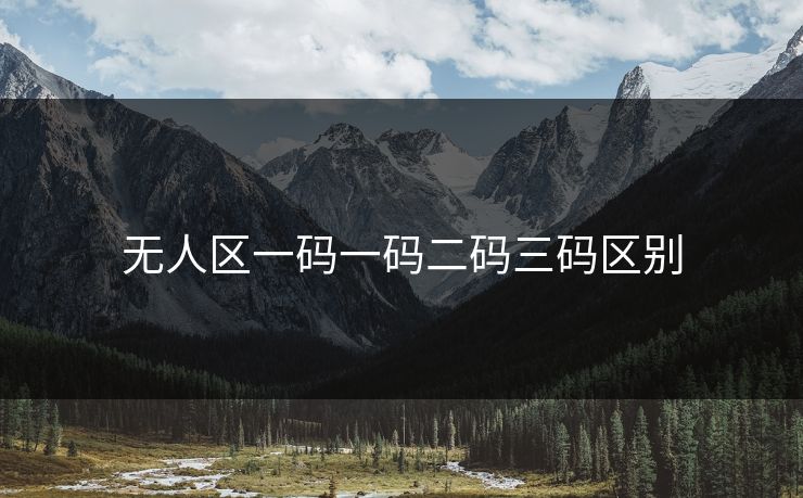 无人区一码一码二码三码区别