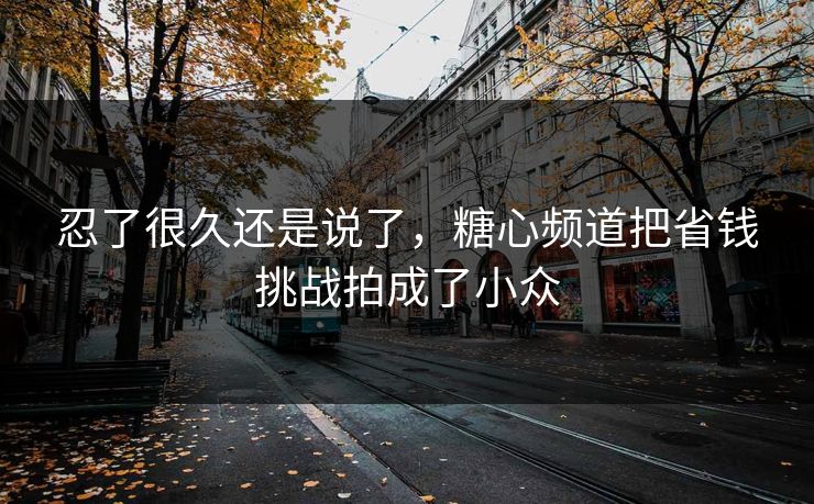 忍了很久还是说了，糖心频道把省钱挑战拍成了小众