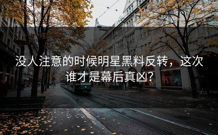 没人注意的时候明星黑料反转，这次谁才是幕后真凶？